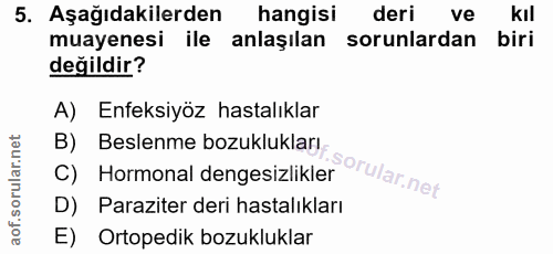 Soru 5