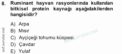 Soru 8