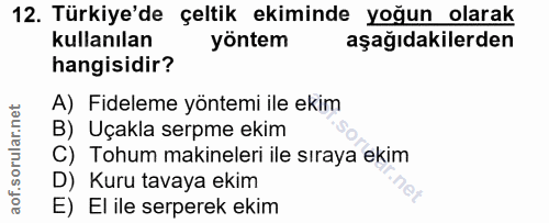 Soru 12