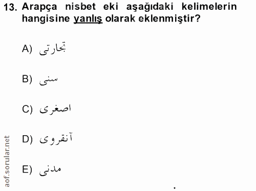 Soru 13