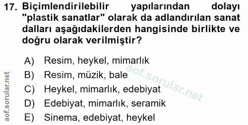 Soru 17