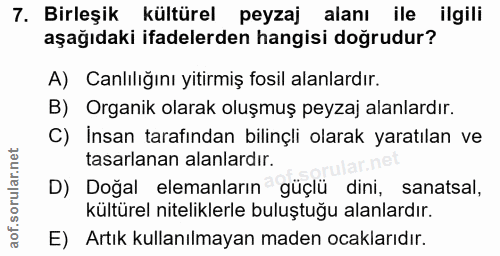 Soru 7