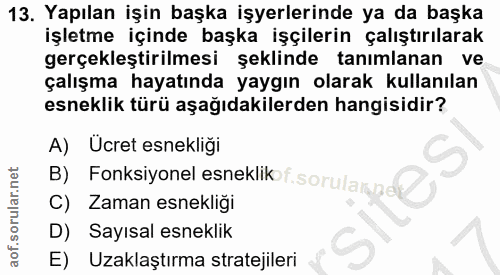Soru 13