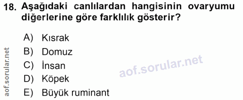 Soru 18