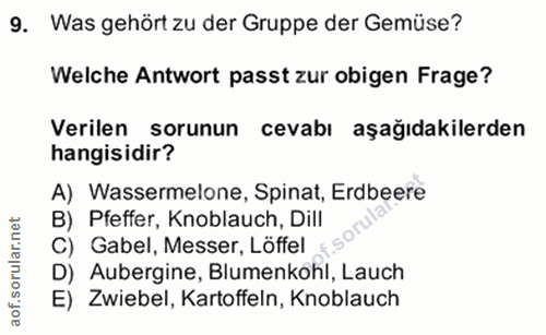 Soru 9