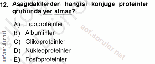 Soru 12