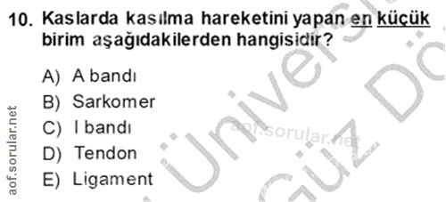 Soru 10