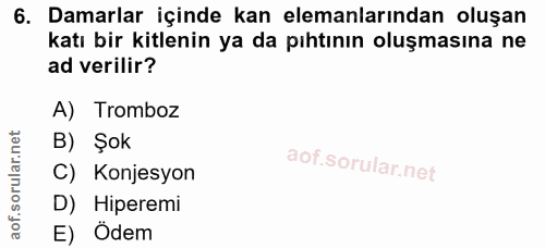 Soru 6