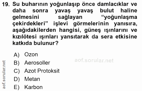 Soru 19