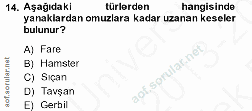 Soru 14