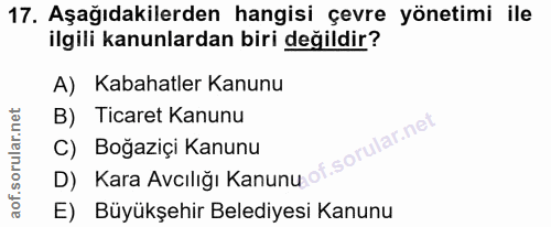 Soru 17