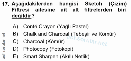 Soru 17