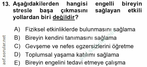 Soru 13