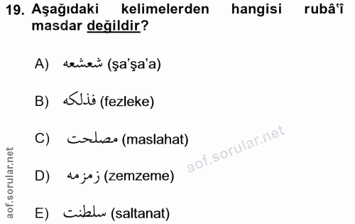 Soru 19