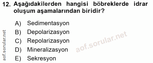 Soru 12