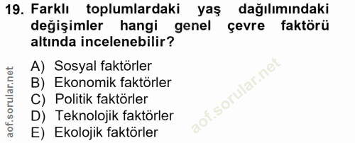 Soru 19