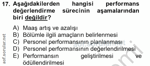 Soru 17