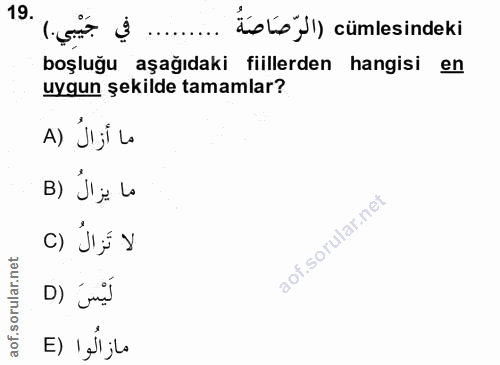 Soru 19