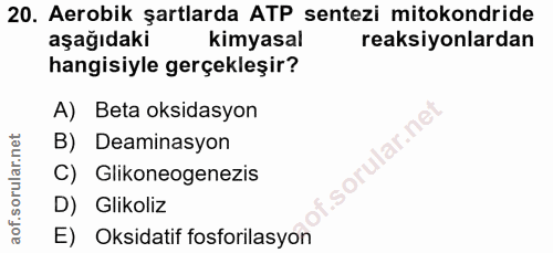 Soru 20