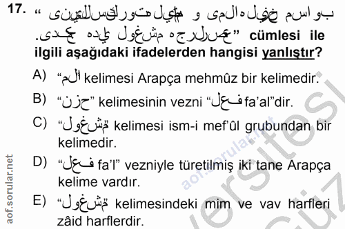 Soru 17
