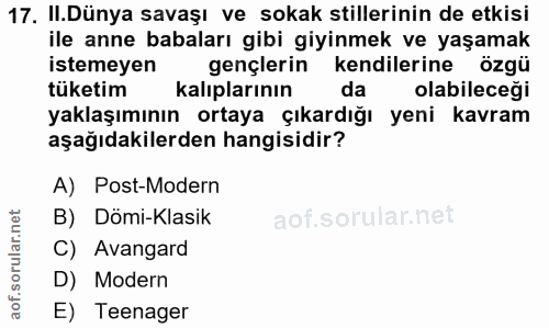 Soru 17