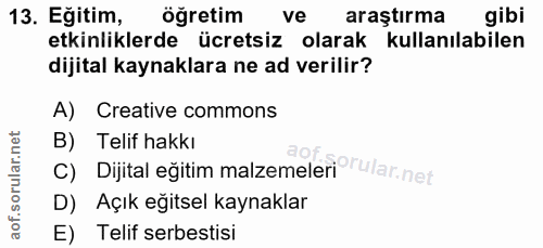 Soru 13