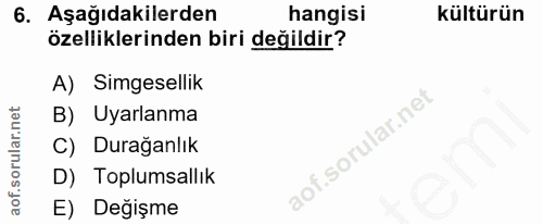Soru 6