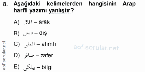 Soru 8