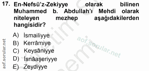 Soru 17
