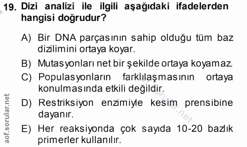 Soru 19
