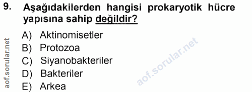 Soru 9