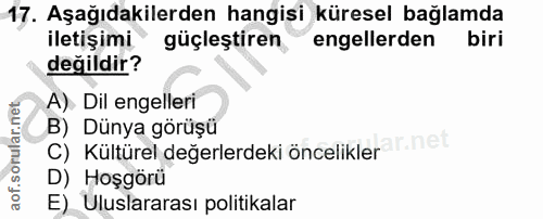 Soru 17