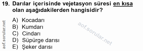 Soru 19