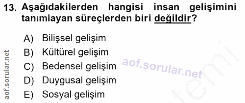 Soru 13