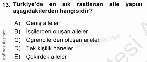 Soru 13