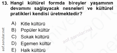 Soru 13