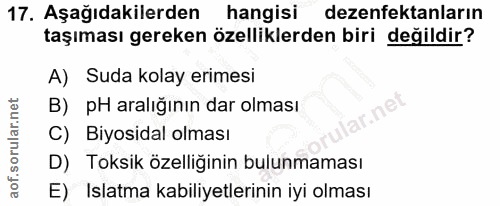 Soru 17