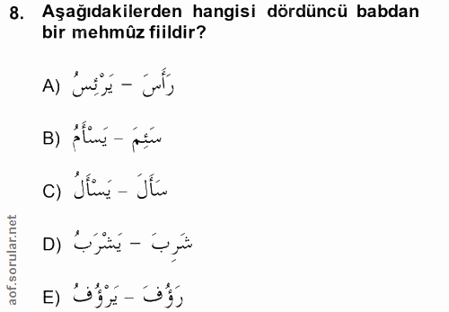 Soru 8