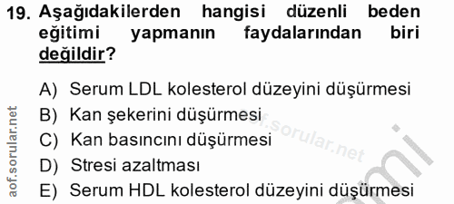 Soru 19