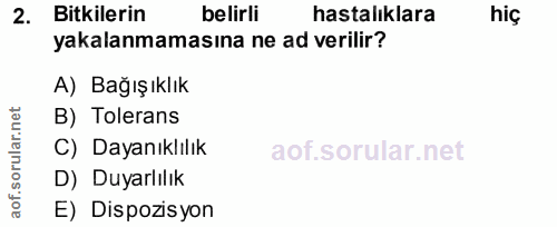 Soru 2