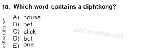 Soru 10