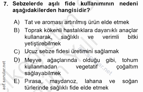 Soru 7