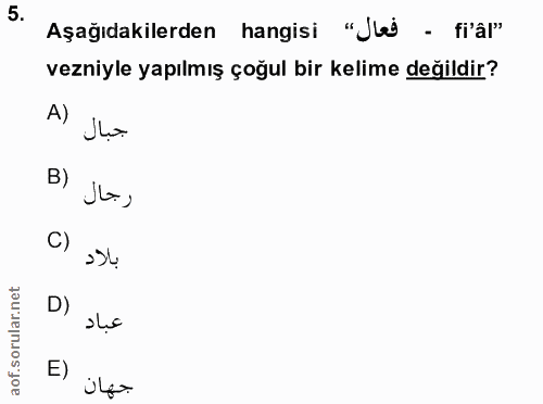 Soru 5