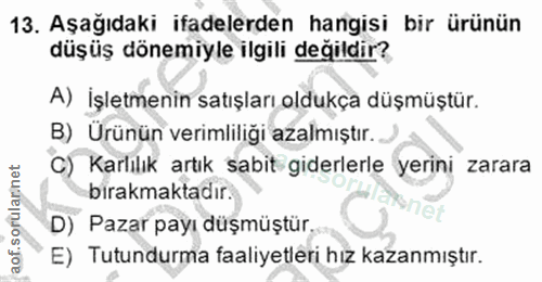 Soru 13