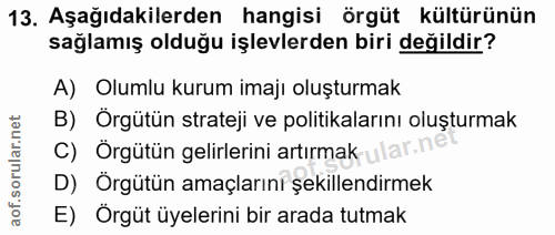 Soru 13