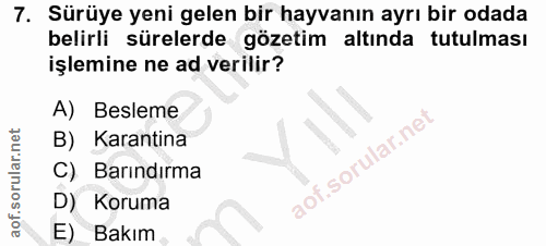Soru 7