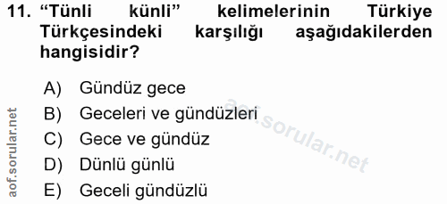 Soru 11