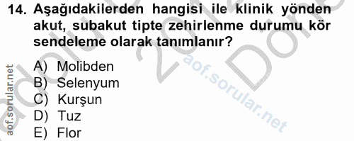 Soru 14