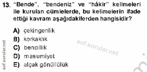 Soru 13