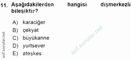 Soru 11